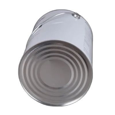 19L 5 Gallon Steel Tight Head Bucket Dengan Flex Spout Lid Untuk Thinner